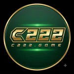 C222 Game