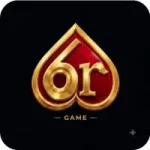 6R Game