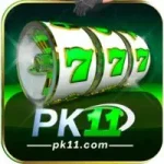 PK11 Game